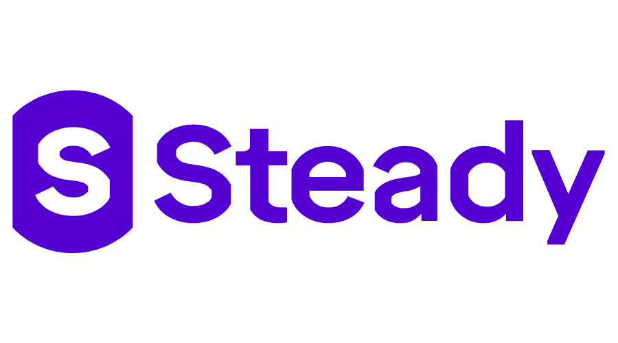 Steady logo